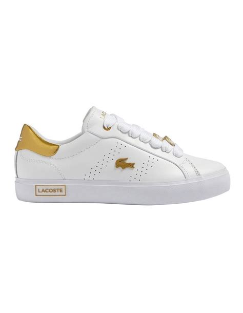 myer women sneakers